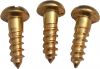 Brass Roundhead Screws